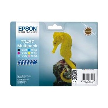 EPSON INKJET T0487...