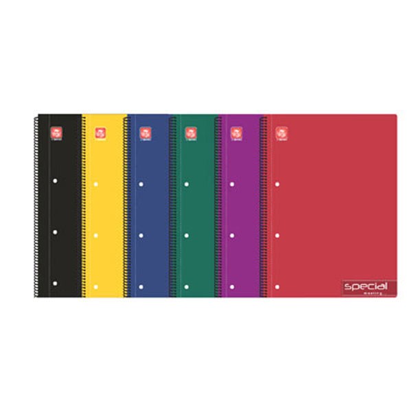 ΤΕΤΡΑΔΙΟ ΣΠΙΡΑΛ SPECIAL MEETING A4 3 ΘΕΜΑΤΑ 90Φ 4543-20 TYPOTRUST